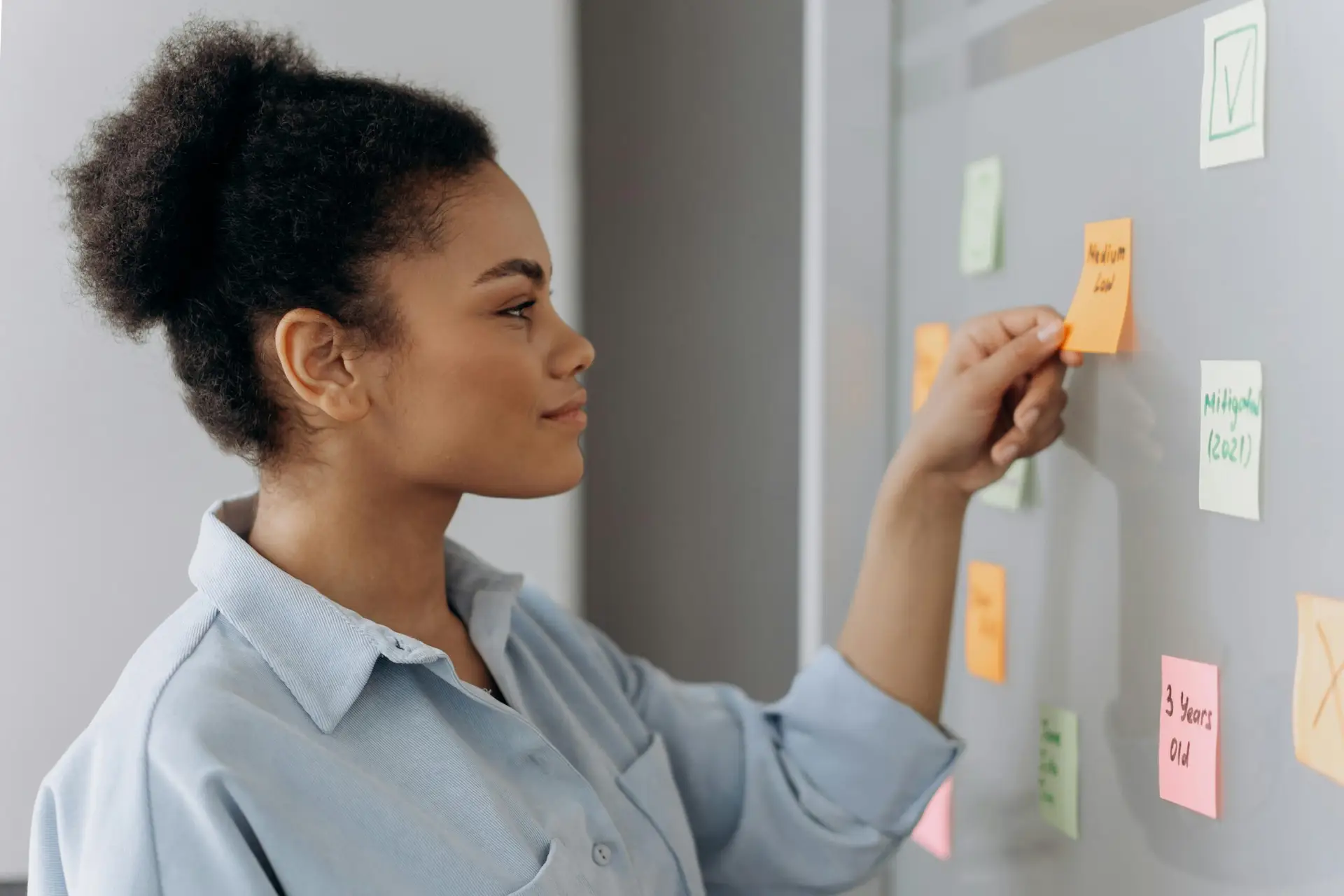 Project management services
