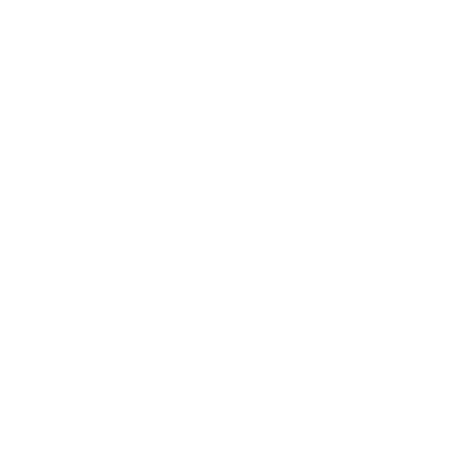 Software development